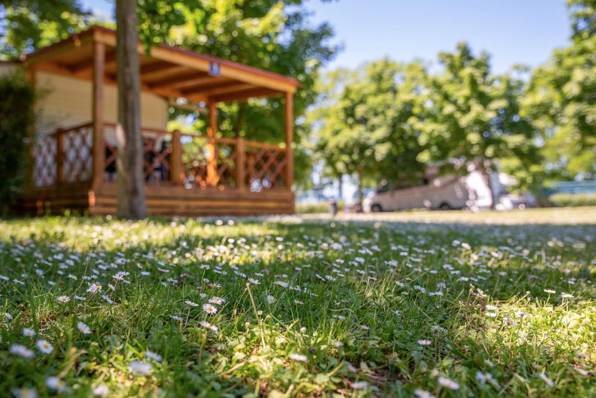 Hungarospa Thermal Camping Mobilhaz Hajdúszoboszló Buitenkant foto